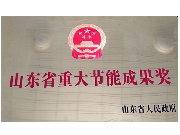 山東省重大節能成果獎