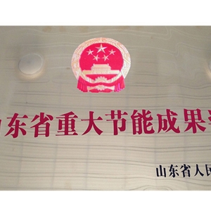 山東省重大節能成果獎